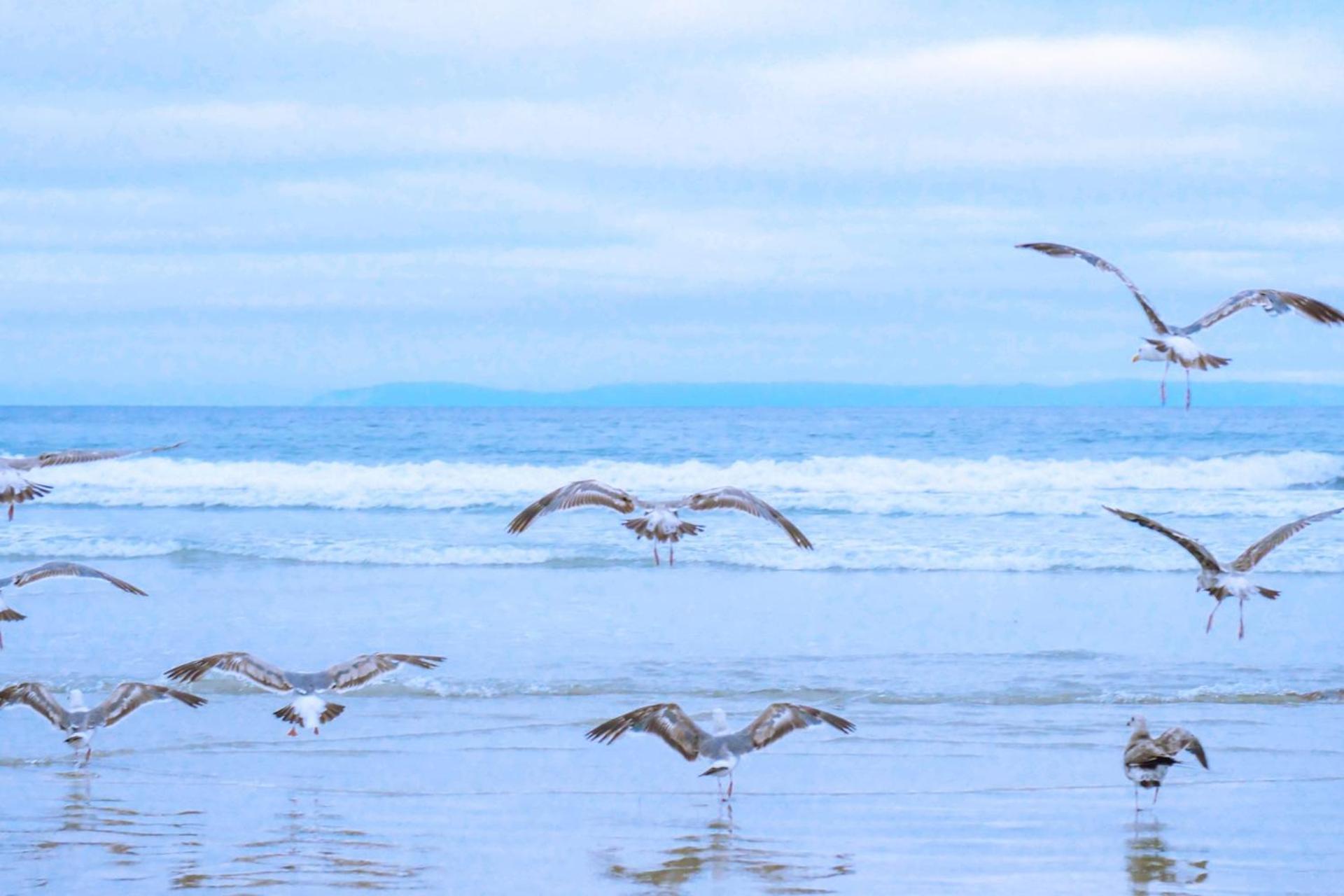 De Duintuin - In De Duinen, Groote Keeten Aan Zee คัลลันท์สโอก ภายนอก รูปภาพ