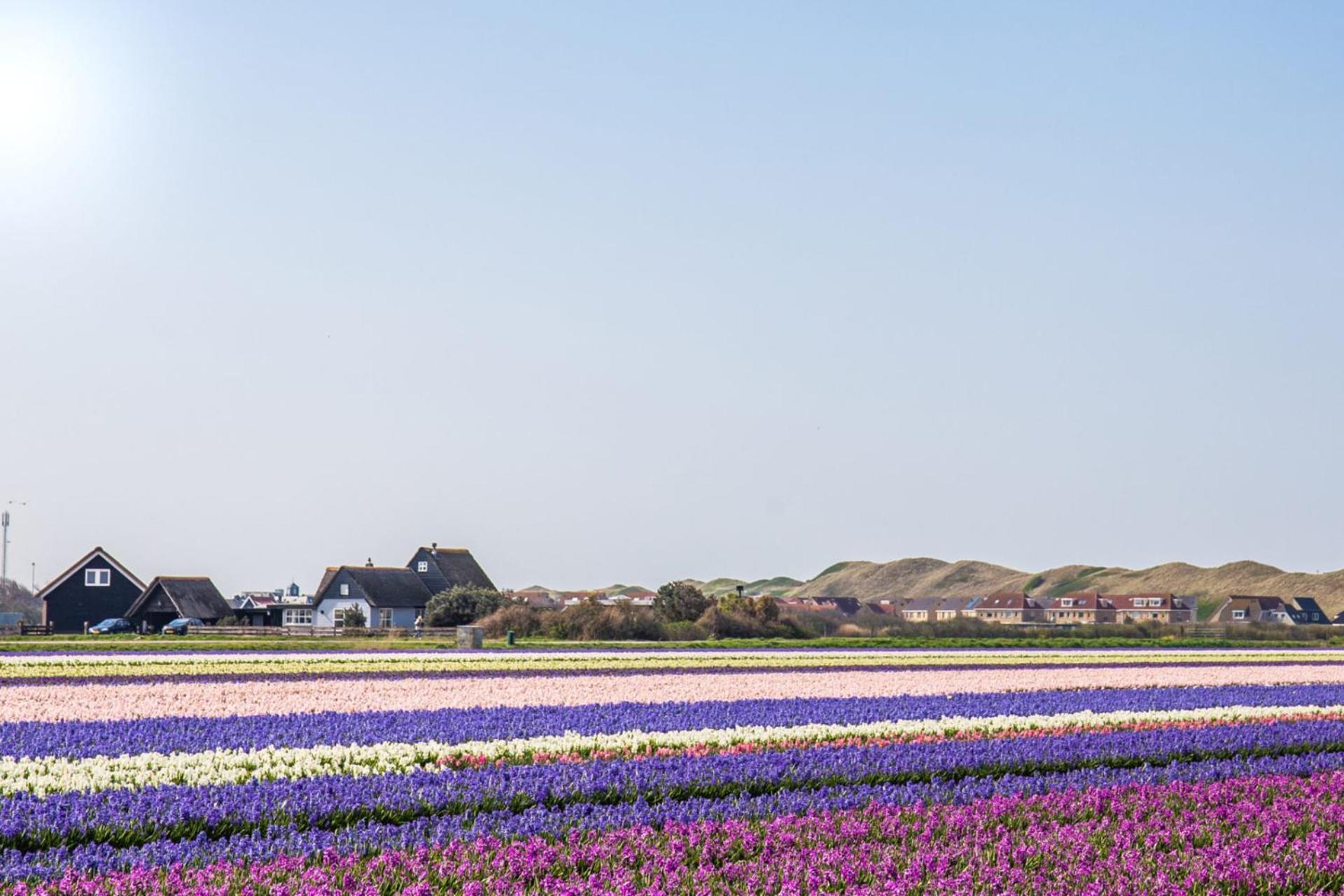 De Duintuin - In De Duinen, Groote Keeten Aan Zee คัลลันท์สโอก ภายนอก รูปภาพ